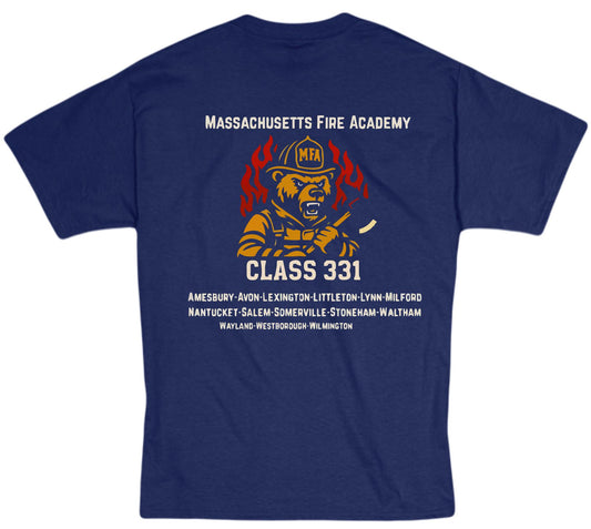Class 331