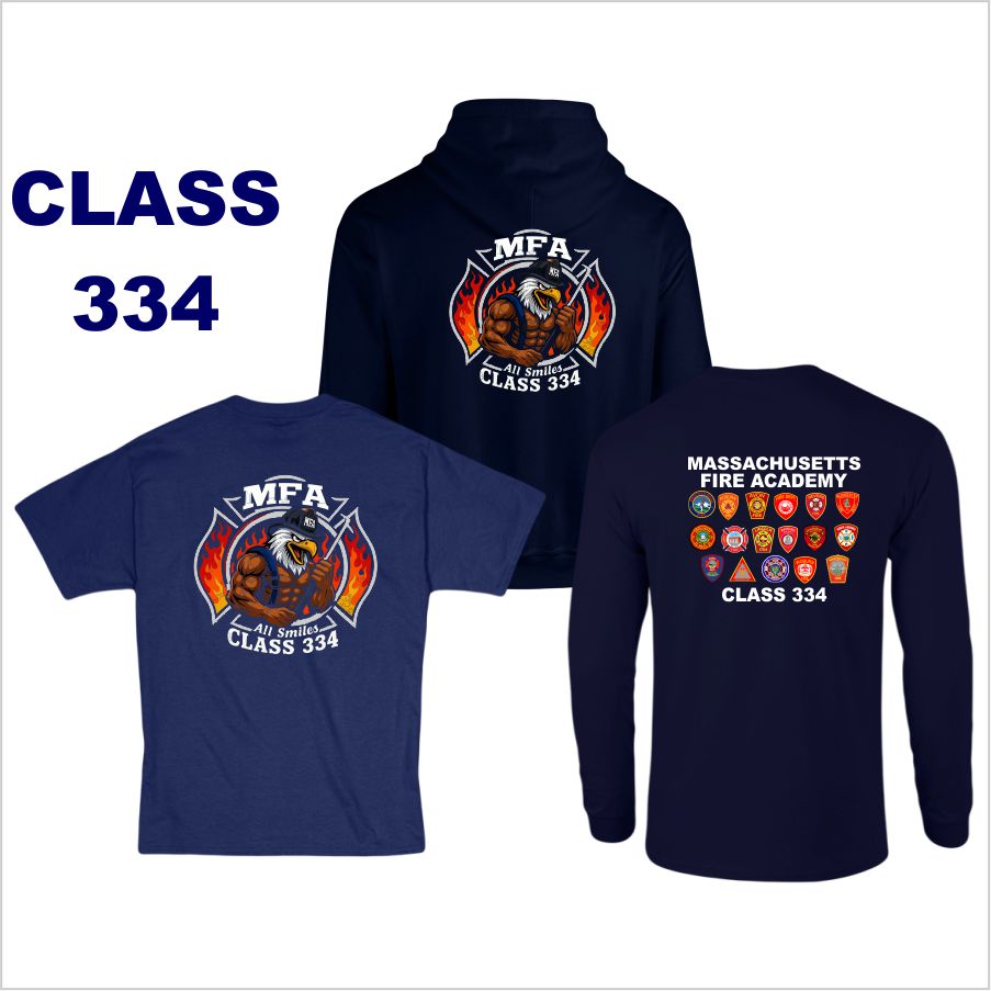 Class 334 Swag