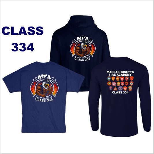 Class 334 Swag