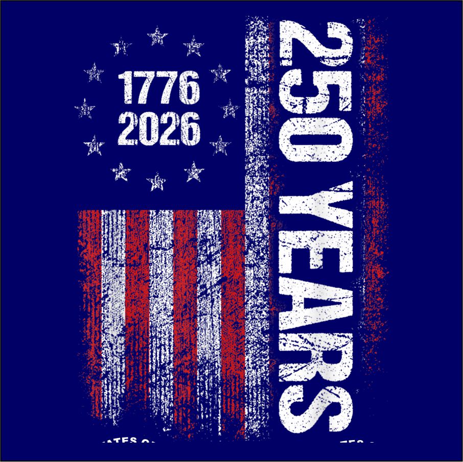 Ladies Bella DISTRESSED V-Neck